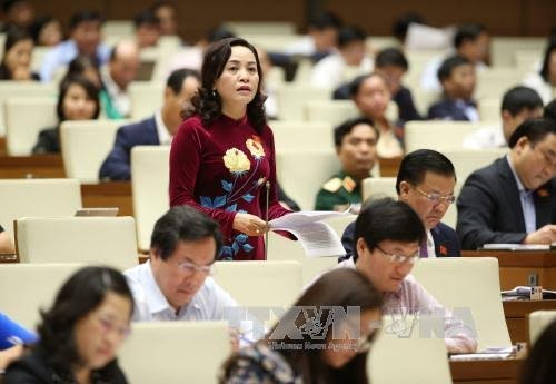 NA debates mobilization of resources for economic restructuring - ảnh 1